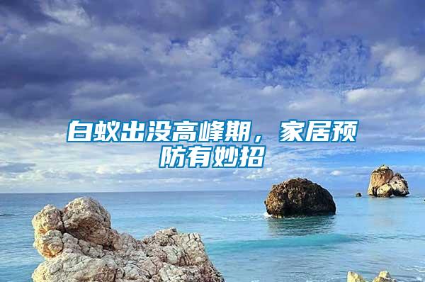 白蟻出沒高峰期，家居預(yù)防有妙招