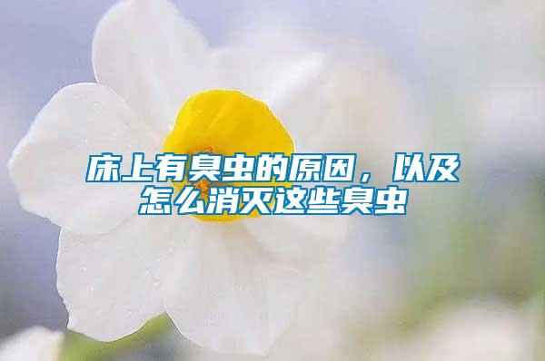 床上有臭蟲的原因，以及怎么消滅這些臭蟲