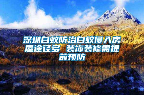 深圳白蟻防治白蟻侵入房屋途徑多 裝飾裝修需提前預(yù)防