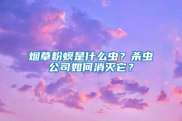 煙草粉螟是什么蟲？殺蟲公司如何消滅它？