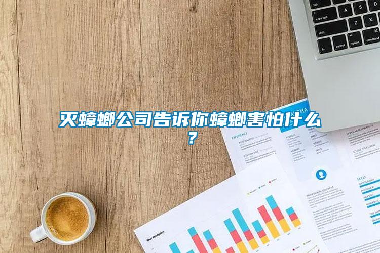 滅蟑螂公司告訴你蟑螂害怕什么？