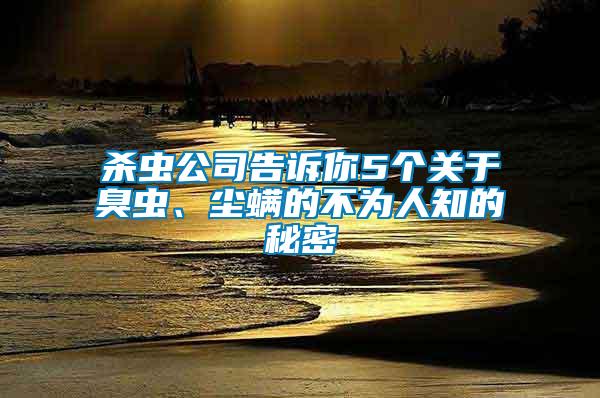 殺蟲公司告訴你5個(gè)關(guān)于臭蟲、塵螨的不為人知的秘密