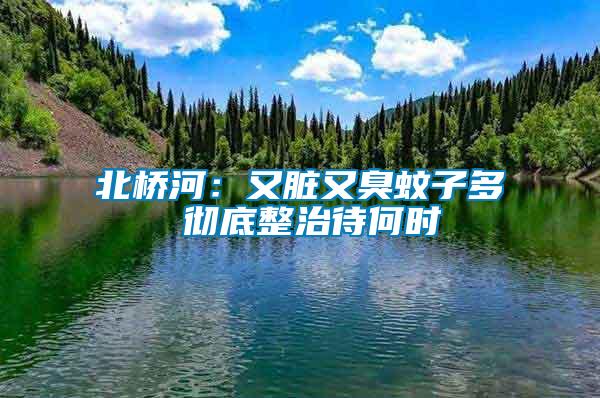 北橋河：又臟又臭蚊子多 徹底整治待何時