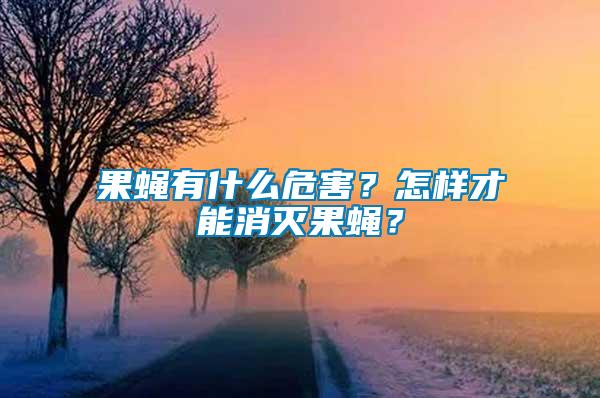 果蠅有什么危害？怎樣才能消滅果蠅？