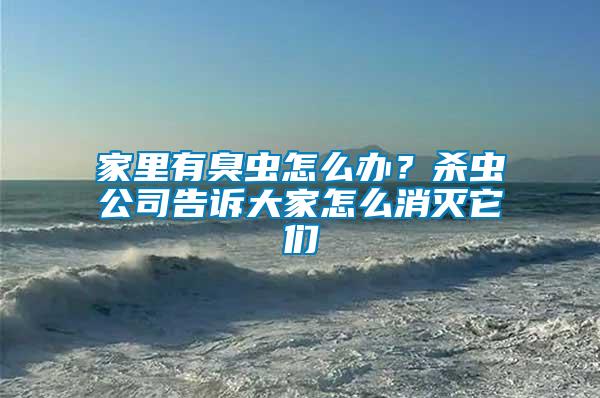 家里有臭蟲怎么辦？殺蟲公司告訴大家怎么消滅它們