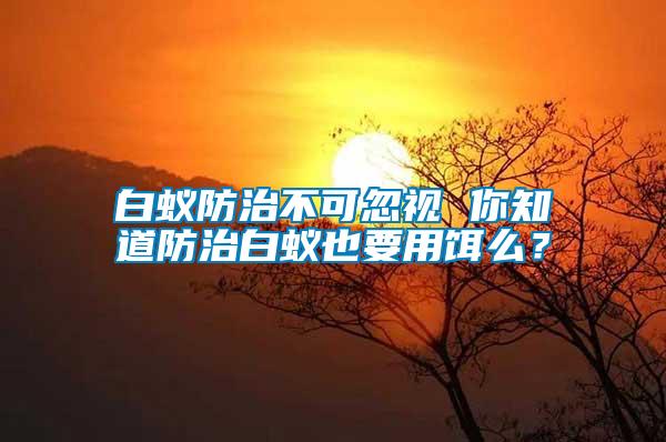 白蟻防治不可忽視 你知道防治白蟻也要用餌么？