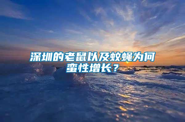 深圳的老鼠以及蚊蠅為何蠻性增長？