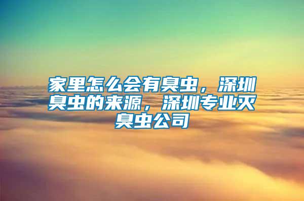 家里怎么會有臭蟲，深圳臭蟲的來源，深圳專業(yè)滅臭蟲公司