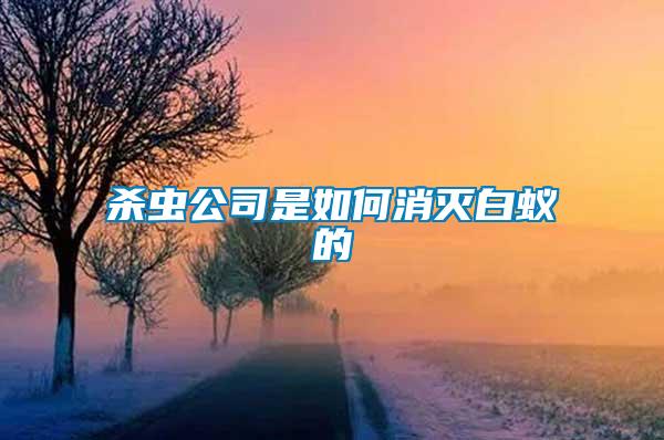 殺蟲公司是如何消滅白蟻的