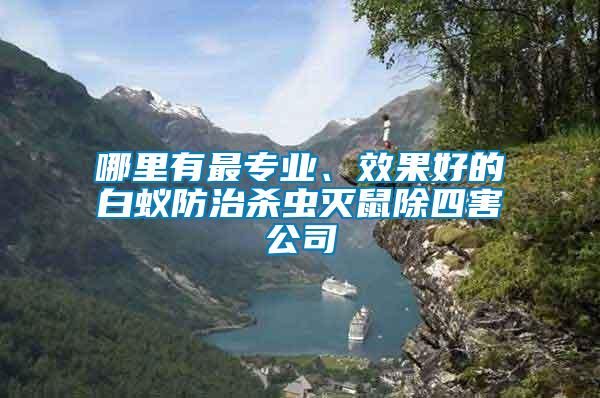 哪里有最專業(yè)、效果好的白蟻防治殺蟲滅鼠除四害公司