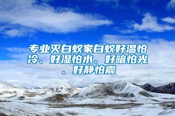 專業(yè)滅白蟻家白蟻好溫怕冷、好濕怕水、好暗怕光、好靜怕震