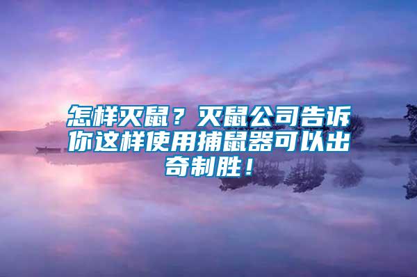 怎樣滅鼠？滅鼠公司告訴你這樣使用捕鼠器可以出奇制勝！