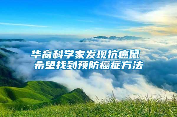 華裔科學(xué)家發(fā)現(xiàn)抗癌鼠 希望找到預(yù)防癌癥方法