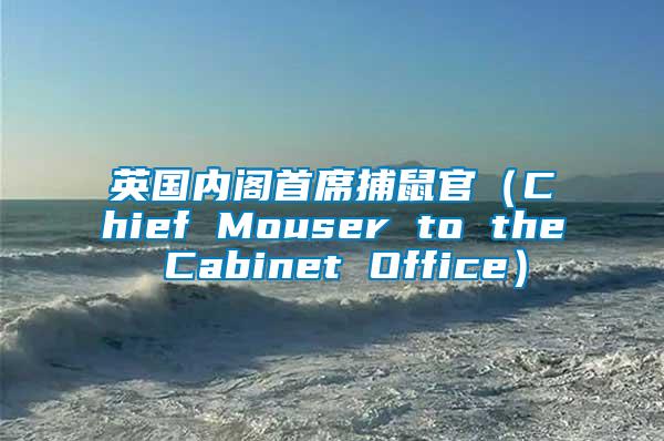 英國(guó)內(nèi)閣首席捕鼠官（Chief Mouser to the Cabinet Office）