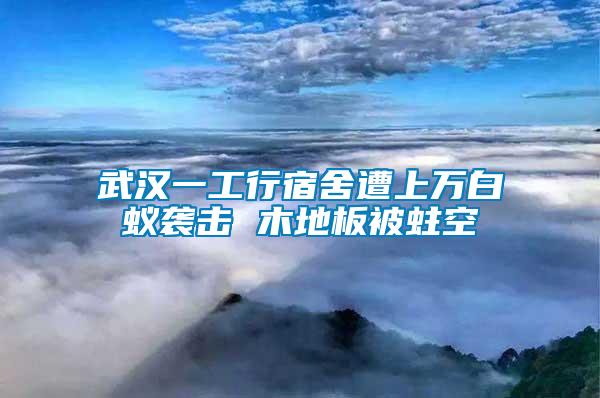 武漢一工行宿舍遭上萬白蟻襲擊 木地板被蛀空