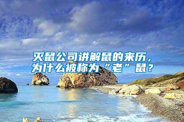 滅鼠公司講解鼠的來歷，為什么被稱為“老”鼠？