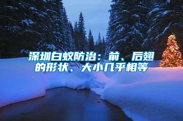 深圳白蟻防治：前、后翅的形狀、大小幾乎相等