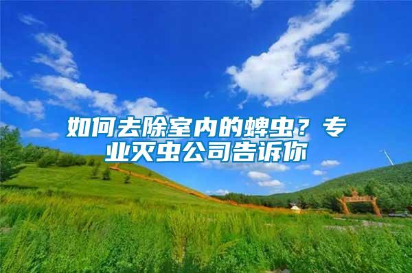 如何去除室內的蜱蟲？專業(yè)滅蟲公司告訴你