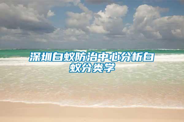 深圳白蟻防治中心分析白蟻分類學(xué)