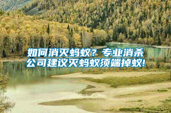 如何消滅螞蟻？專業(yè)消殺公司建議滅螞蟻?lái)毝说粝?