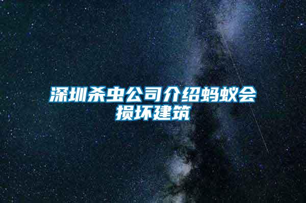 深圳殺蟲公司介紹螞蟻會損壞建筑