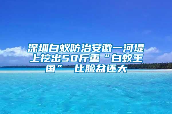 深圳白蟻防治安徽一河堤上挖出50斤重“白蟻王國” 比臉盆還大