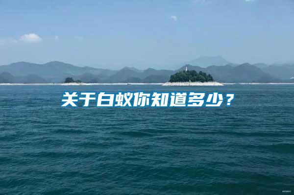 關(guān)于白蟻你知道多少？