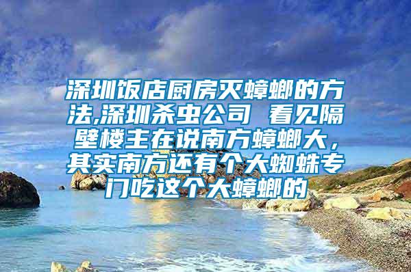 深圳飯店廚房滅蟑螂的方法,深圳殺蟲公司 看見隔壁樓主在說南方蟑螂大，其實南方還有個大蜘蛛專門吃這個大蟑螂的