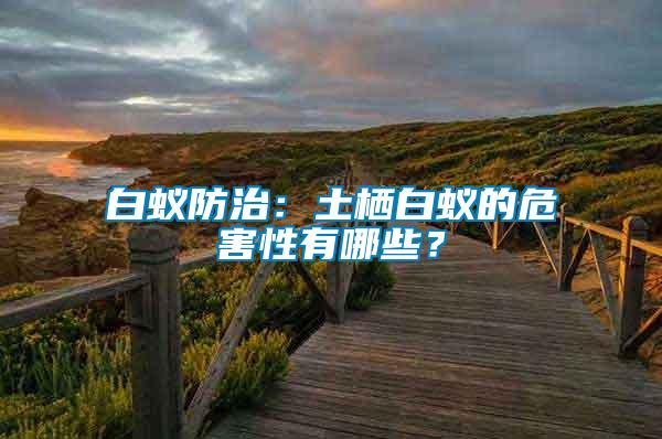 白蟻防治：土棲白蟻的危害性有哪些？