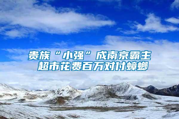 貴族“小強(qiáng)”成南京霸主 超市花費(fèi)百萬(wàn)對(duì)付蟑螂