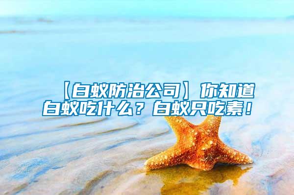 【白蟻防治公司】你知道白蟻吃什么？白蟻只吃素！