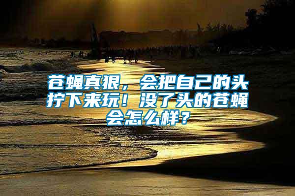 蒼蠅真狠，會(huì)把自己的頭擰下來玩！沒了頭的蒼蠅會(huì)怎么樣？