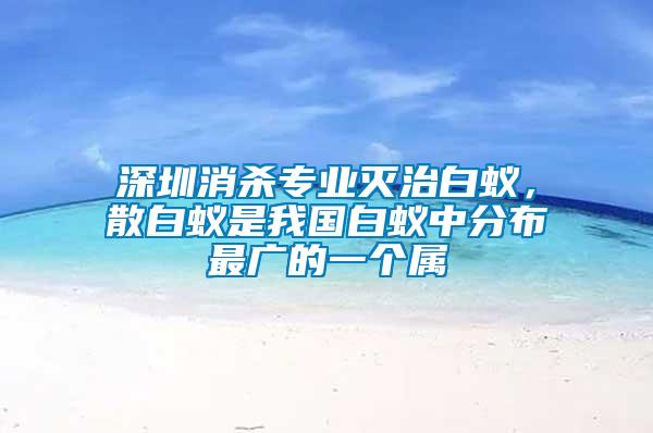 深圳消殺專業(yè)滅治白蟻，散白蟻是我國白蟻中分布最廣的一個屬