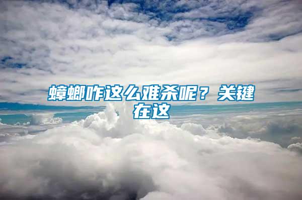 蟑螂咋這么難殺呢？關(guān)鍵在這