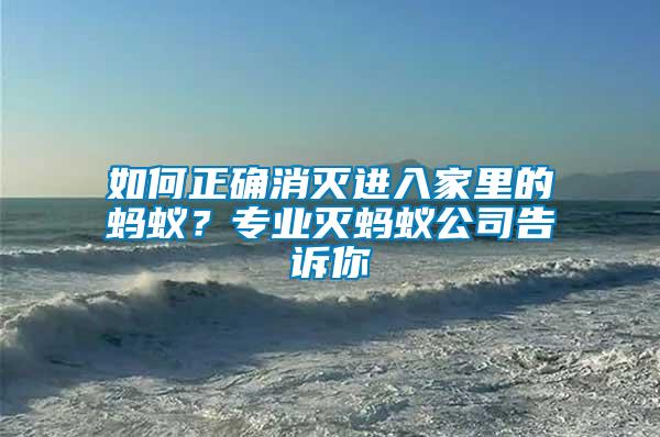 如何正確消滅進(jìn)入家里的螞蟻？專業(yè)滅螞蟻公司告訴你