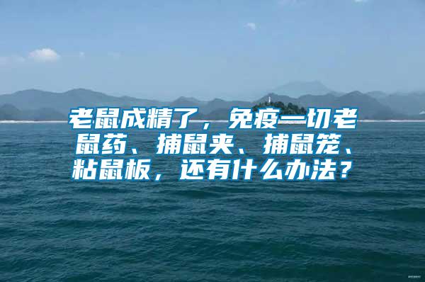 老鼠成精了，免疫一切老鼠藥、捕鼠夾、捕鼠籠、粘鼠板，還有什么辦法？