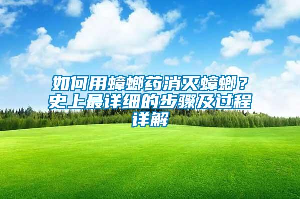 如何用蟑螂藥消滅蟑螂？史上最詳細的步驟及過程詳解