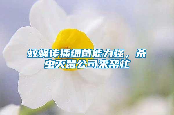 蚊蠅傳播細菌能力強，殺蟲滅鼠公司來幫忙