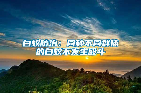 白蟻防治：同種不同群體的白蟻不發(fā)生毆斗