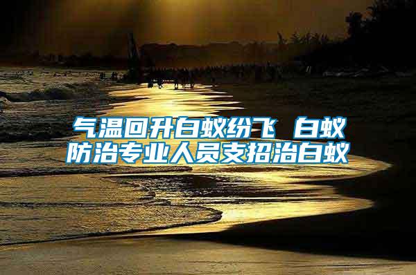 氣溫回升白蟻紛飛 白蟻防治專業(yè)人員支招治白蟻