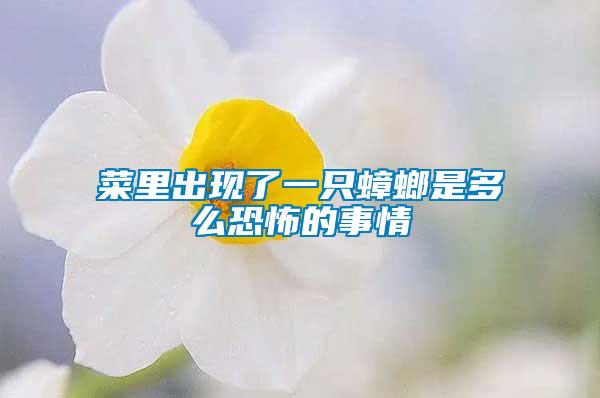 菜里出現(xiàn)了一只蟑螂是多么恐怖的事情