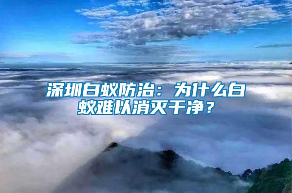 深圳白蟻防治：為什么白蟻難以消滅干凈？