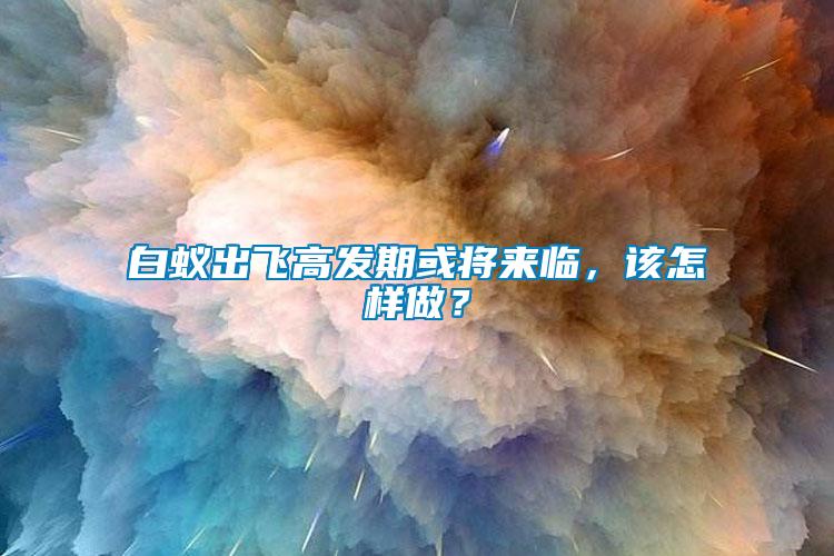 白蟻出飛高發(fā)期或?qū)?lái)臨，該怎樣做？