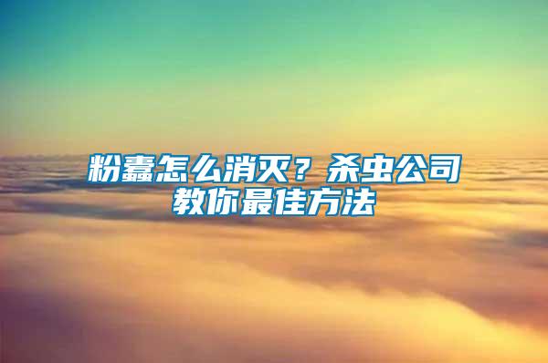 粉蠹怎么消滅？殺蟲公司教你最佳方法