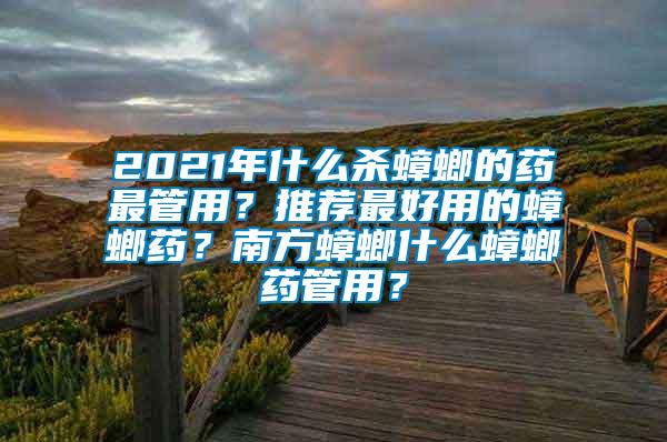 2021年什么殺蟑螂的藥最管用？推薦最好用的蟑螂藥？南方蟑螂什么蟑螂藥管用？