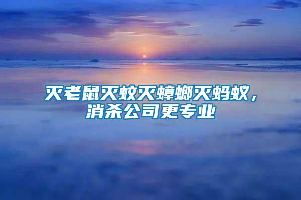 滅老鼠滅蚊滅蟑螂滅螞蟻，消殺公司更專業(yè)