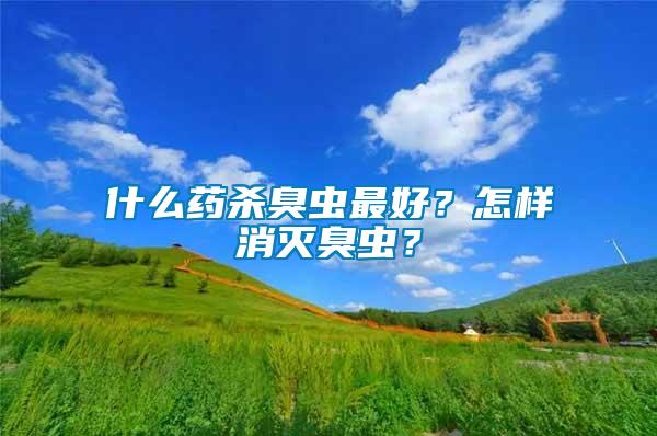 什么藥殺臭蟲最好？怎樣消滅臭蟲？