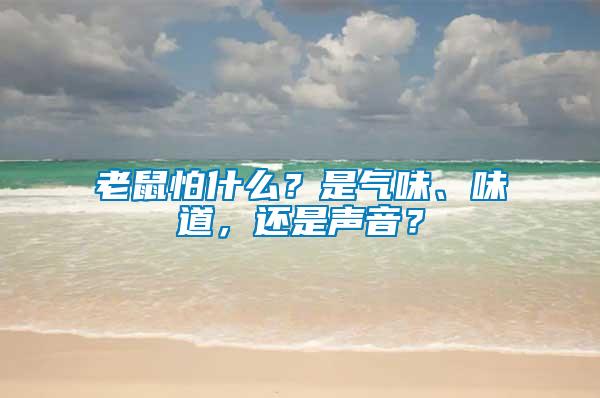 老鼠怕什么？是氣味、味道，還是聲音？