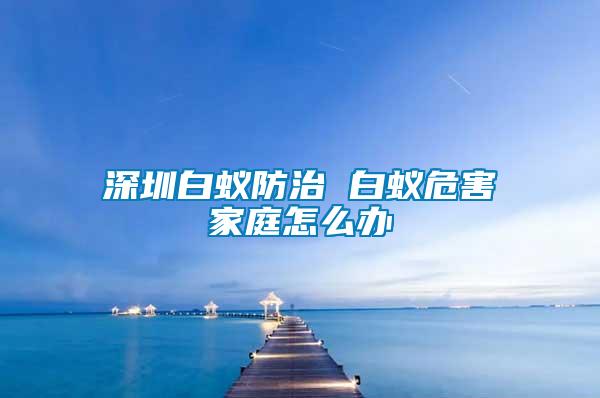 深圳白蟻防治 白蟻危害家庭怎么辦