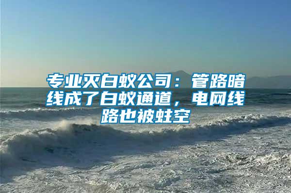 專業(yè)滅白蟻公司：管路暗線成了白蟻通道，電網(wǎng)線路也被蛀空